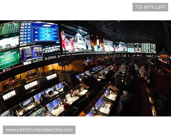 BTI体育博彩多元化赛事覆盖全球体育赛事满足不同玩家的投注需求