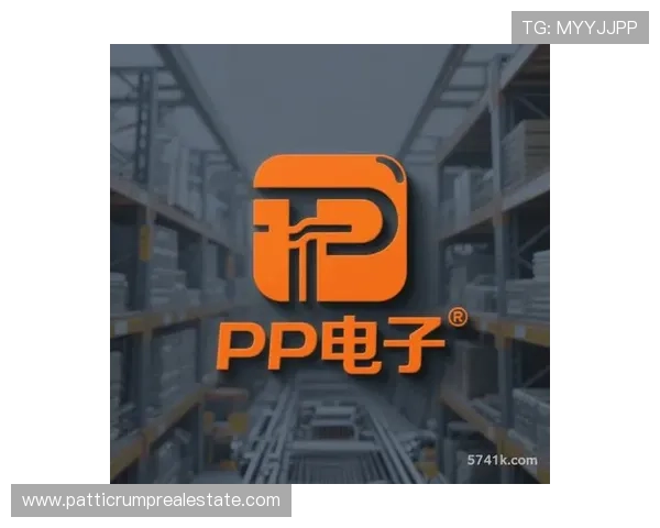 PP电子官网最新安全保障措施全面解析助你安心游戏体验