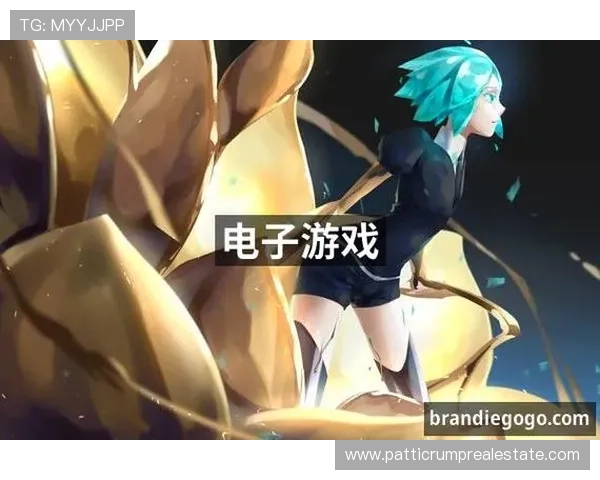 PA电子游戏平台的客户服务与技术支持全方位保障玩家游戏体验的持续优化