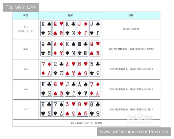 三公游戏玩法介绍及规则详解新手必看掌握三公的基本玩法与常用技巧