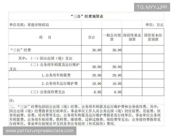 三公经费是哪三公详细介绍及其在政府财务中的具体应用分析