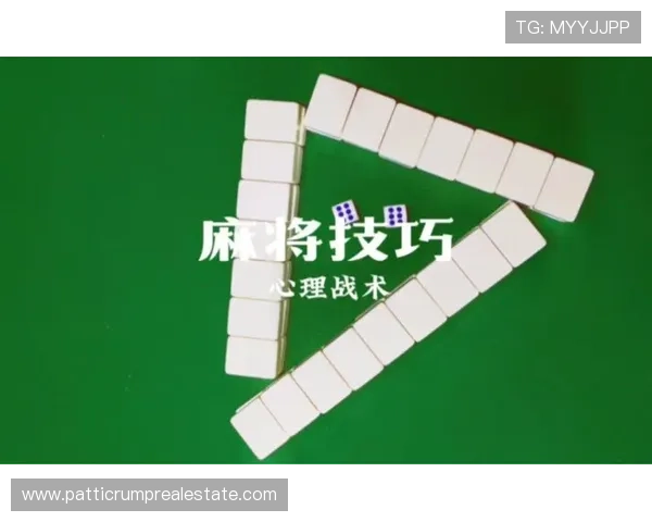 二八杠游戏大全:二八杠游戏中的心理战术与赢钱策略深度解析 二八杠游戏大全:二八杠游戏中的心理战术与赢钱策略深度解析