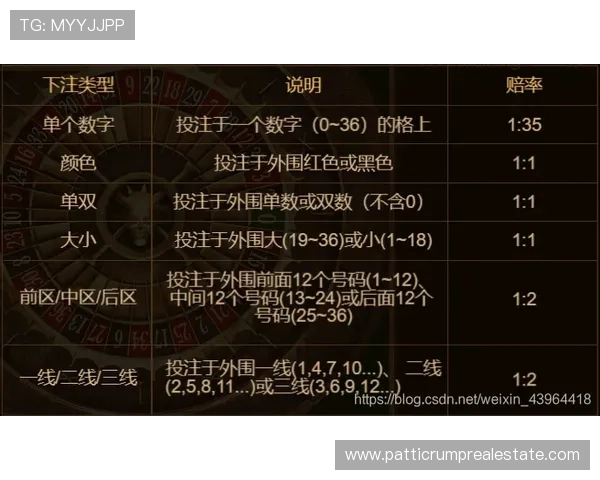 凯发PP电游新手入门指南从零开始学习游戏规则提升胜率的实用技巧分享