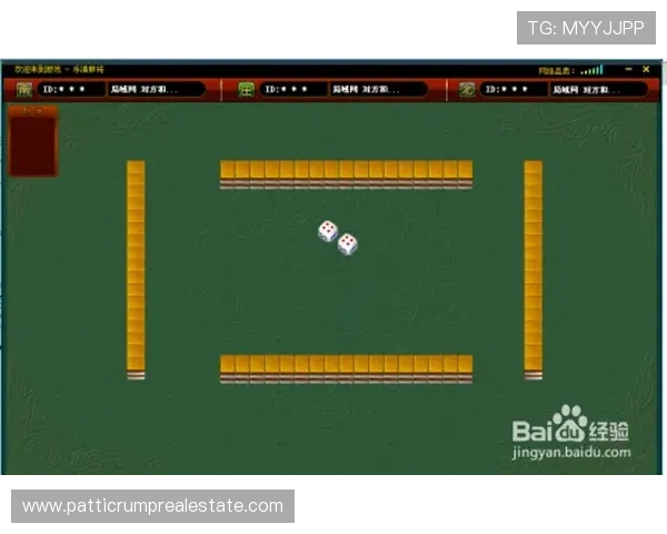 凯发二人麻将新手必看,详细介绍游戏规则和操作流程指南