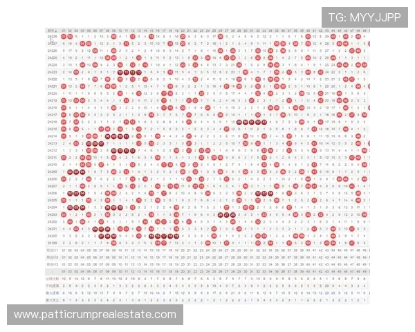 必赢亚洲真人娱乐平台注册流程详解新手快速上手的完整指南