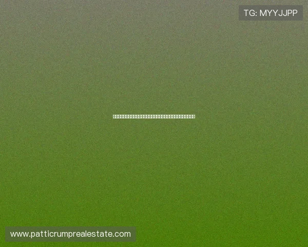 世界杯赛场上的土耳其与巴拉圭边路进攻对决：战术特点与比赛亮点回顾