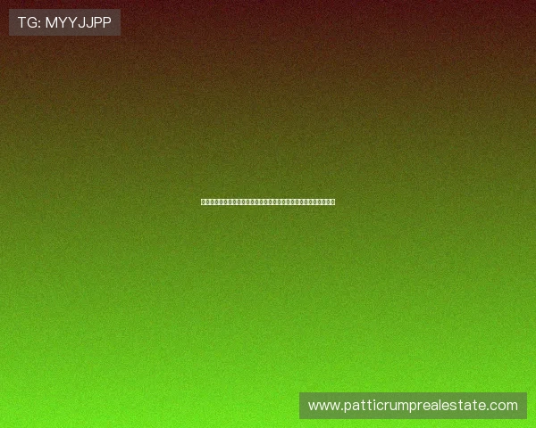 最新世界杯厄瓜多尔库拉索比赛结果公布，比赛亮点与数据分析一览